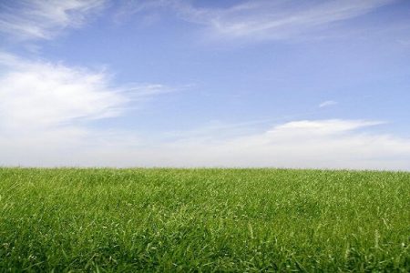 ゆかいラボについて